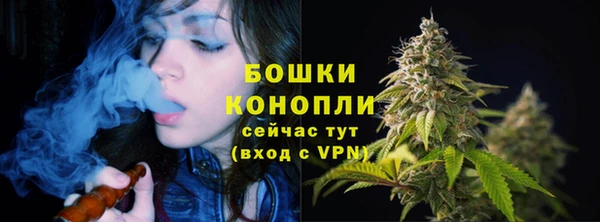 трава Белокуриха