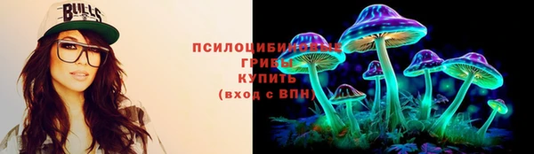 трава Белокуриха