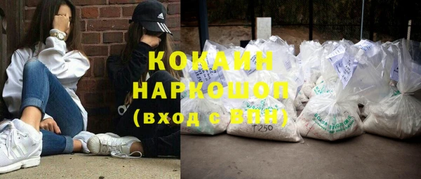 трава Белокуриха