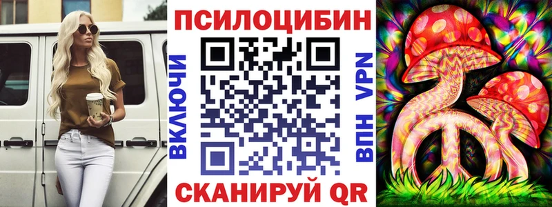 дарнет шоп  Удомля  мега вход  Галлюциногенные грибы мицелий 